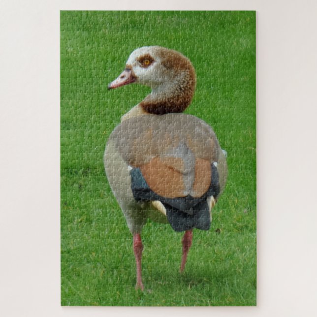 Vogel auf Gras Puzzle (Vertikal)
