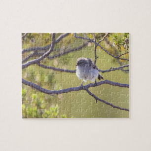 Vogel auf Twig (Bushtit) Puzzle