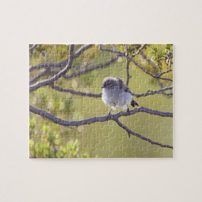 Vogel auf Twig (Bushtit) Puzzle (Horizontal)