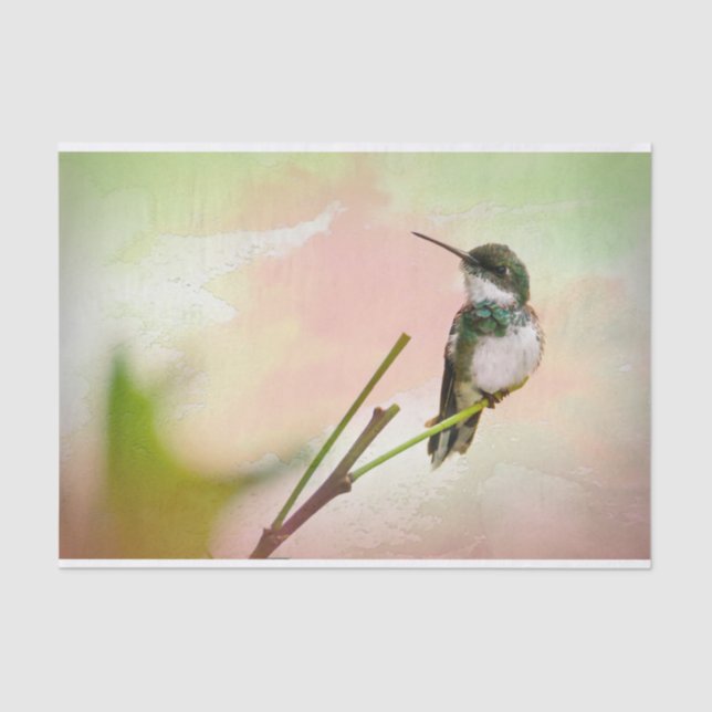 Vogel auf Twig & Pastell Seidenpapier (Vorderseite)