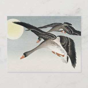 Vögel auf Vollmondmalerei von Ohara Koson Postkarte