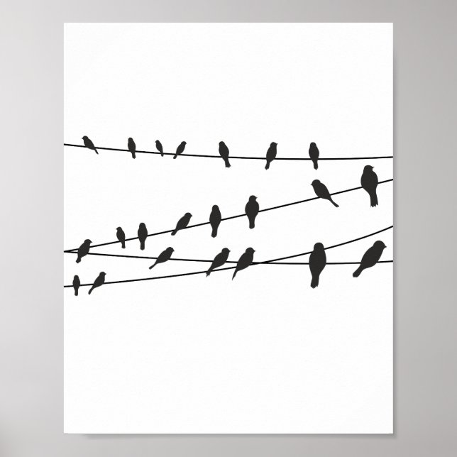 Vögel auf Wire Schwarz-weiß Poster Wand Art Decor (Vorne)