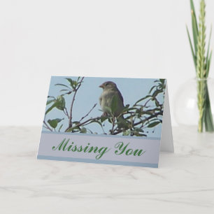 Vogel auf Zweig Karte