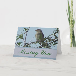 Vogel auf Zweig Karte