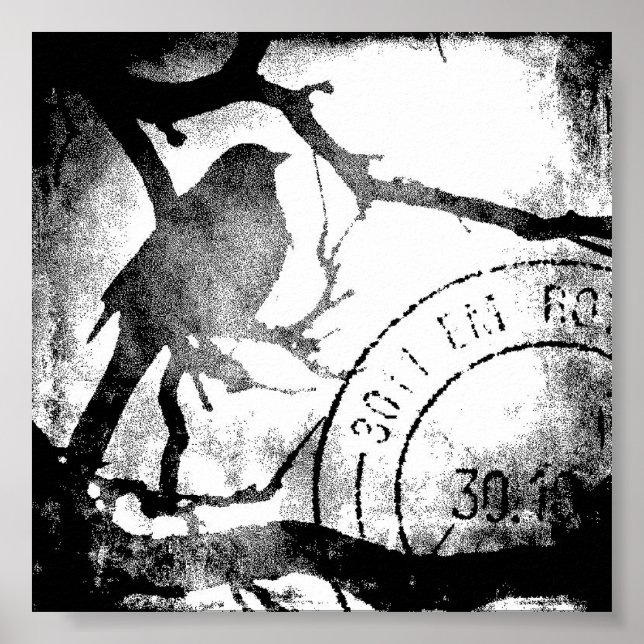 Vogel auf Zweig, Schwarz und Weiß Poster (Vorne)