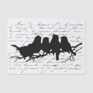 Vögel auf Zweig Schwarze Silhouette Dekoupage Fran Seidenpapier