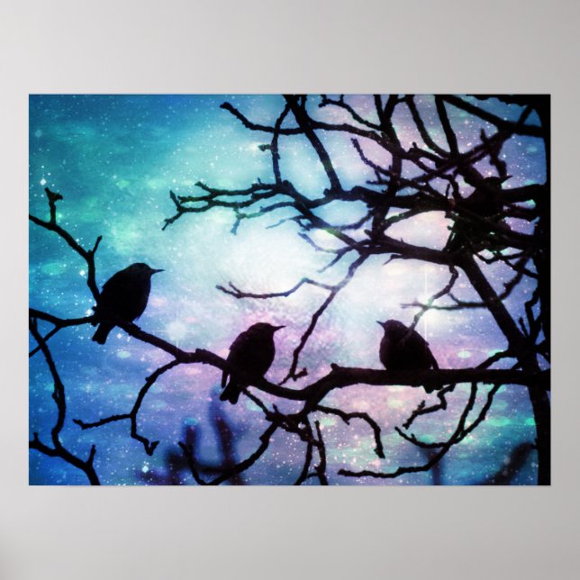 Vögel auf Zweig - Starlight Poster (Vorne)