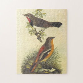 Vogel auf Zweig, Vogel auf dem Boden-Puzzle Puzzle