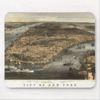 Vogel-Augen-Ansicht 1856 New York City NY vorbei Mousepad