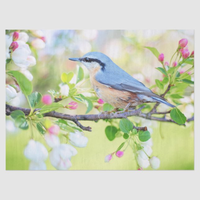 Vogel aus Frühlingspapier Seidenpapier (Vorderseite)