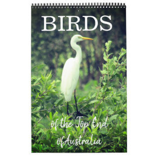 Vögel Australien Top End 2026 Kalender
