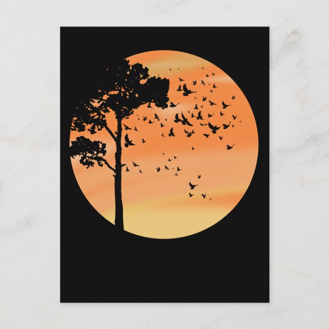 Vögel Baum Schöne Sonnenuntergänge Natur Postkarte (Vorderseite)