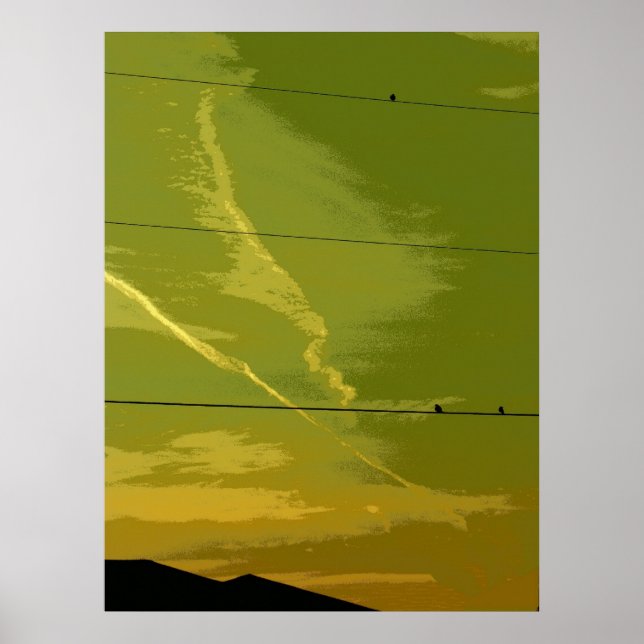 Vögel bei Sonnenuntergang Poster (Vorne)
