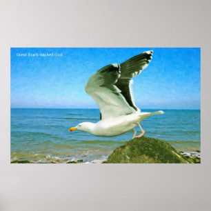 Vogel-Bild für Poster