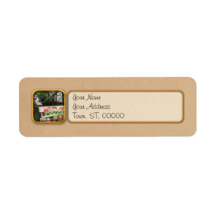 Vogel - Blauhäher - Wartet auf die Post