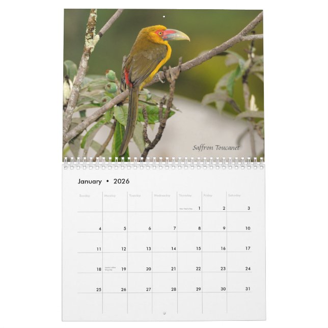 Vögel Brasiliens des atlantischen Waldkalenders Kalender (Jan 2026)