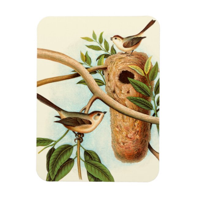 Vogel Couple auf einem Nest auf einem Zweig Magnet (Vertikal)