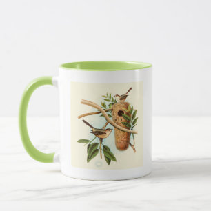 Vogel Couple auf einem Nest auf einem Zweig Tasse