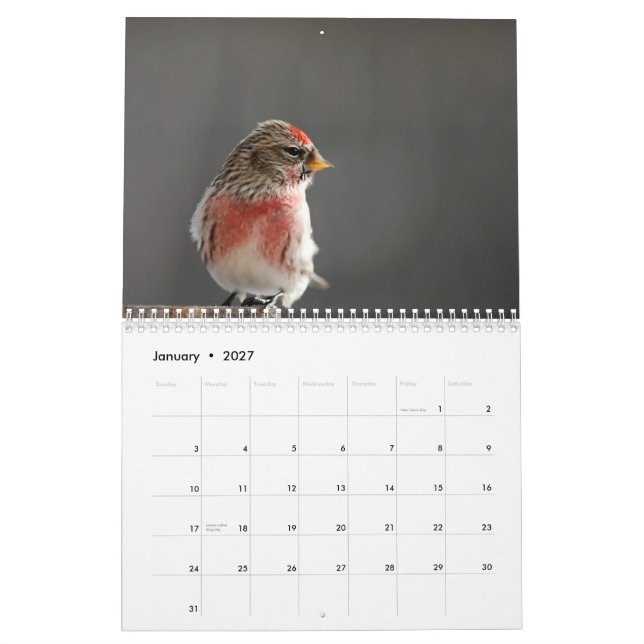 Vögel dem Kalender in des Winter-2015 (Jan 2027)