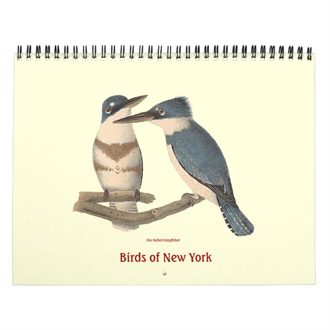 Vögel der Lithographie von New York Kalender (Titelbild)