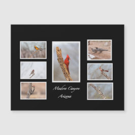 Vögel der Madera Canyon Arizona Magnetkarte