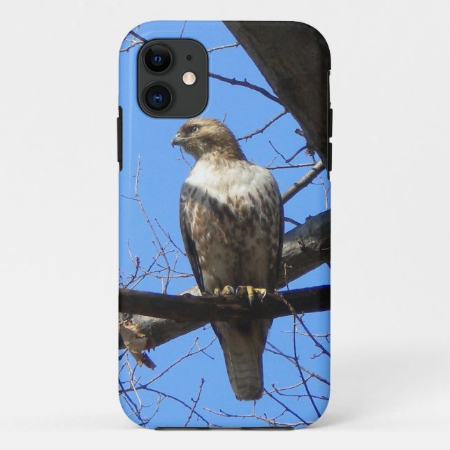 Vogel der Prey iPhone 5 Fall Case-Mate iPhone Hülle (Rückseite)