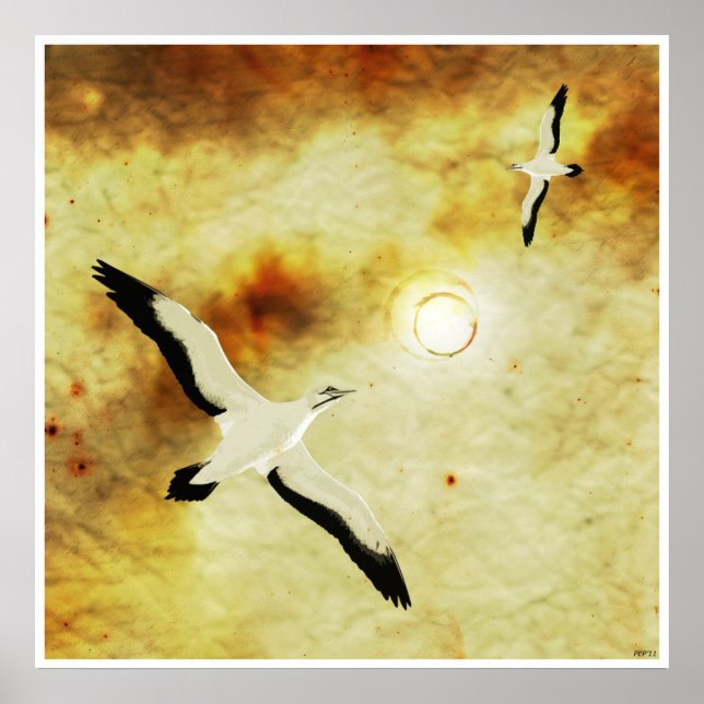 Vögel der Sonne Poster (Vorne)