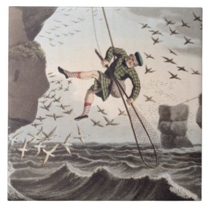 Vogel, der von oben, graviert durch Matthew Dubo Fliese