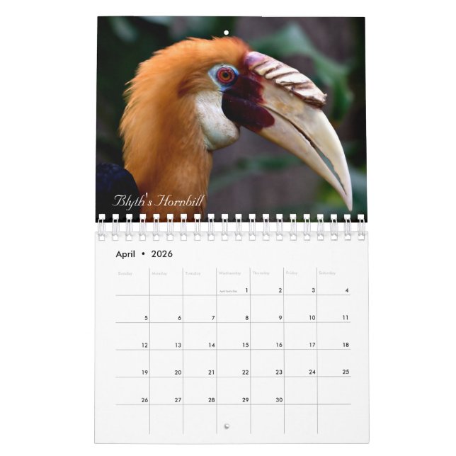 Vögel der Welt Kalender (Apr 2026)