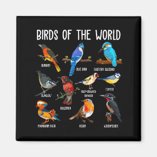 Vögel der Welt Lehrreiche Farbenfrohe Vögel Vogel Magnet