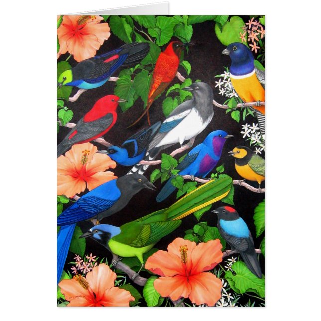 Vögel der Yucatan-Halbinsel (Vorne)