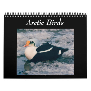 Vögel des arktischen Foto-Kalenders Alaska Kalender