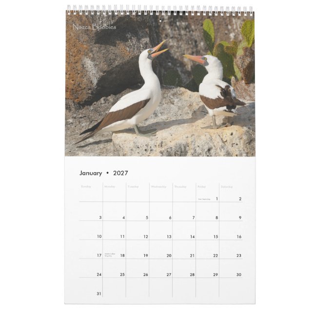 Vögel des Galapagos-Kalenders Kalender (Jan 2027)
