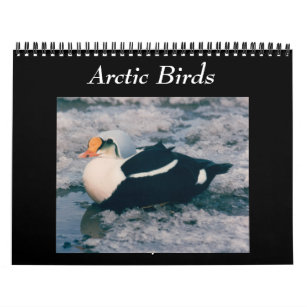 Vögel des Kalenders des arktischen Fotos Alaska Kalender