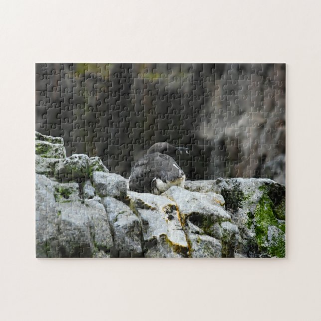 Vögel des Meeres. Puzzle (Horizontal)