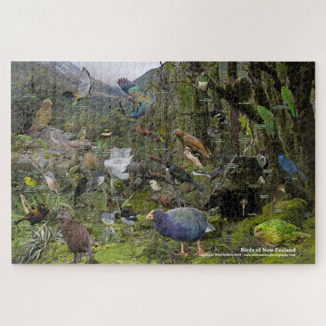 Vögel des neuseeländischen Puzzles (Horizontal)