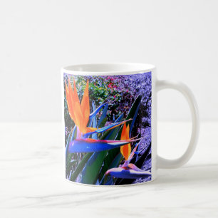 Vogel des Paradieses Hawaii Kaffeetasse