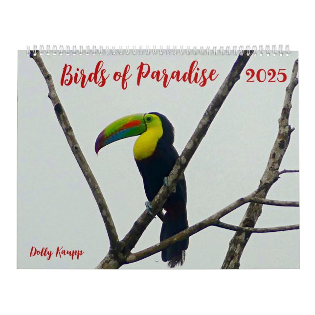 Vögel des Paradieskalenders Kalender (Titelbild)