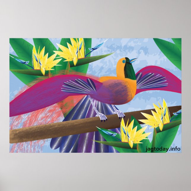 Vögel des Paradise Poster (Vorne)
