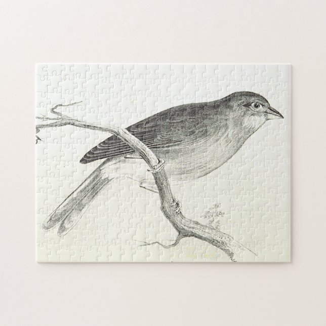 Vögel, die in einem Zweigstellpuzzle auftreten Puzzle (Horizontal)