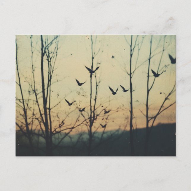 Vögel - Doppelbelastung Postkarte (Vorderseite)