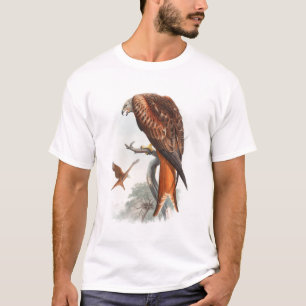 Vögel Drachen Glead Falke-Johns Gould von T-Shirt