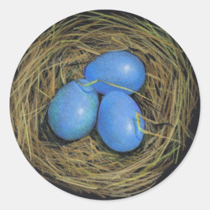VOGEL-EIER IM NEST: REALISMUS-KUNST: AUFKLEBER