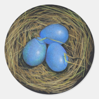 VOGEL-EIER IM NEST: REALISMUS-KUNST: AUFKLEBER