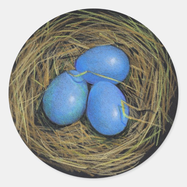 VOGEL-EIER IM NEST: REALISMUS-KUNST: AUFKLEBER (Vorderseite)