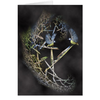 Vögel einer Feder