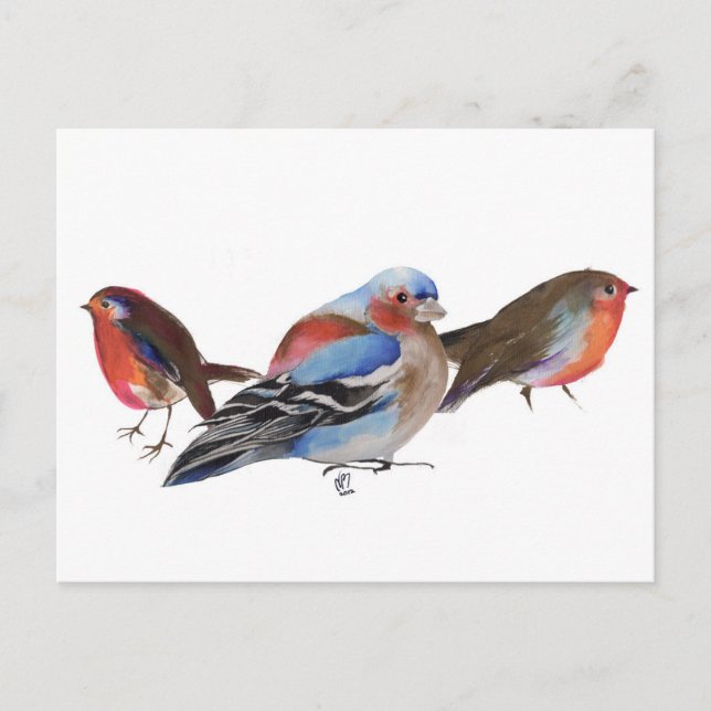 Vögel einer Feder 2011 Postkarte (Vorderseite)