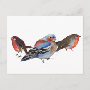 Vögel einer Feder 2011 Postkarte