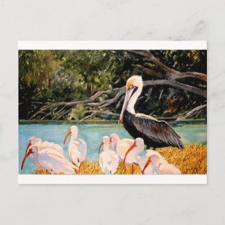 Vögel einer Feder Postkarte