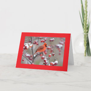 VÖGEL EINES FEATHER/FEIERES ZUSAMMEN GEBURTSTAG! KARTE